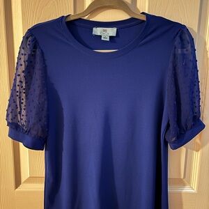 CeCe Royal Blue Top with Sheer Sleeves